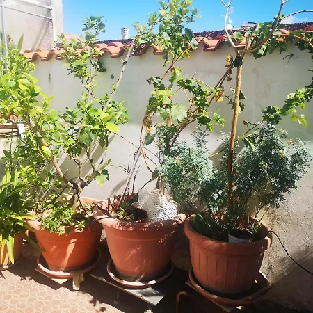 Casa Carmela Apartment Cellole